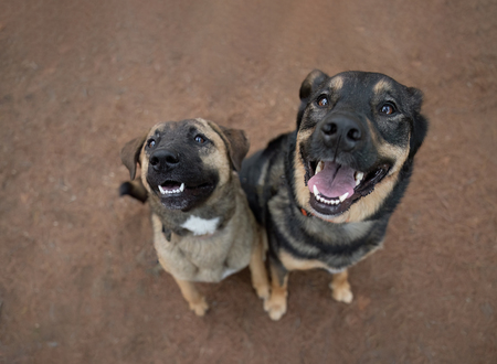 Paisley & Layla