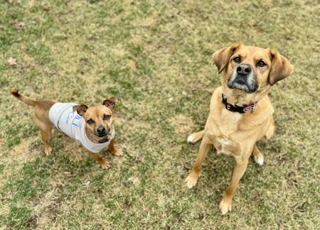 Popper & Ace