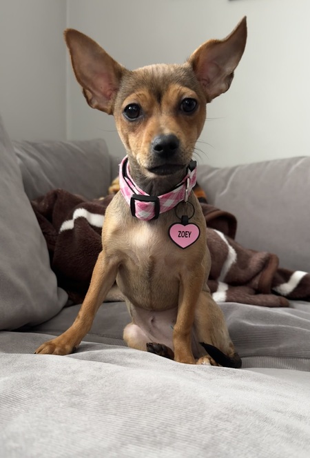 Zoey