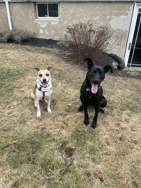 Cece & Lexi 