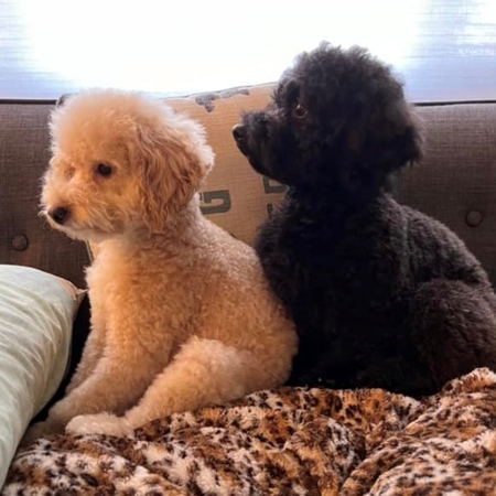 Ethel and Lucy