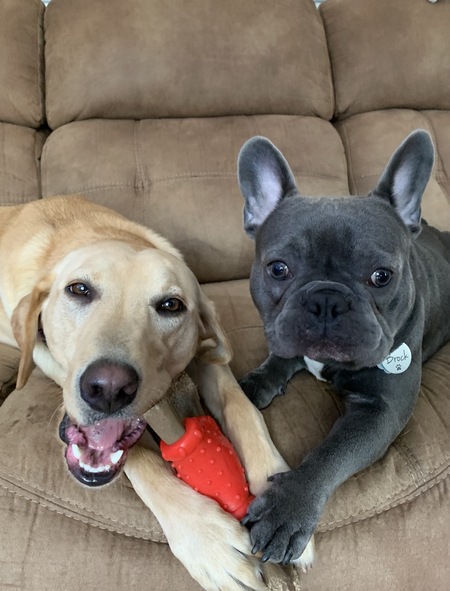 Daisy and Brock