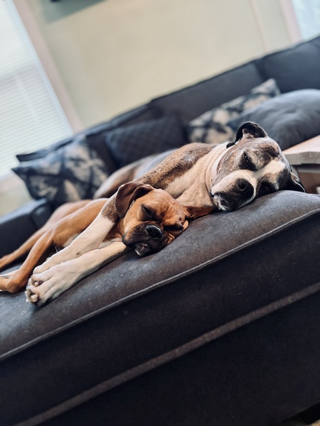 Doc & Ivy