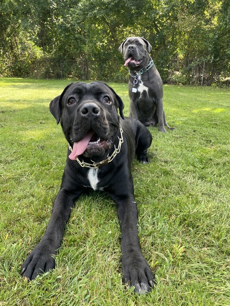 Max & Nelly 