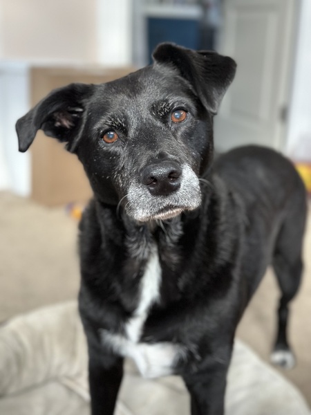 Rosie