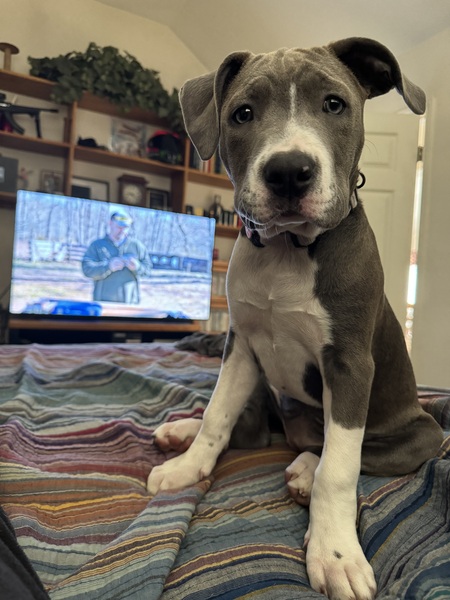 Lilah
