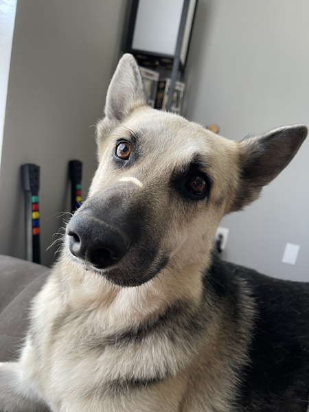 Achilles