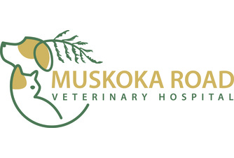 Muskoka Road Veterinary Hospital