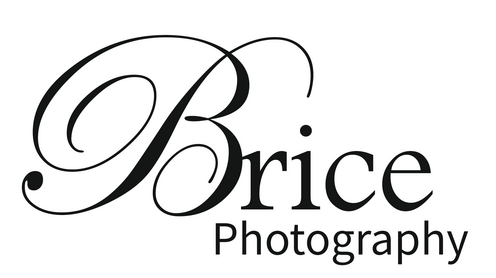 https://www.bricephotography.net/