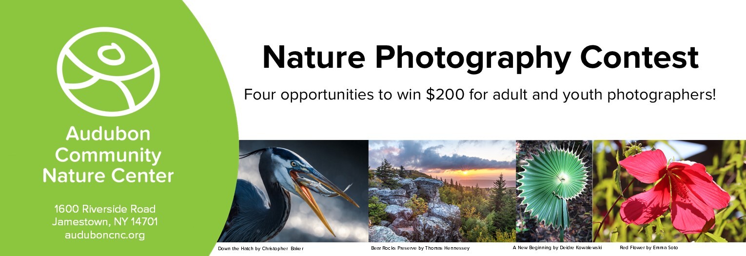 Audubon Community Nature Center | Nature Photography Contest
