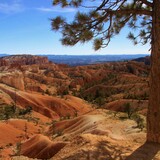 Entry image for Bryce Canyon View