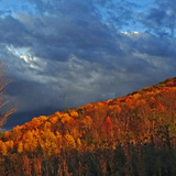 Entry image for Autumn Hillside