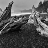 Entry image for Sentinels