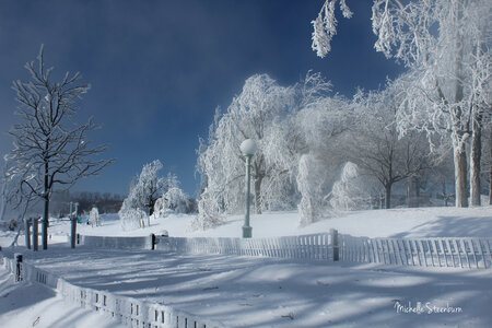 Entry image for Frosted Woderland. Clicking this image will show a larger photo