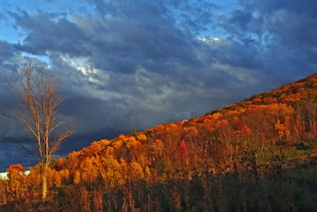 Entry image for Autumn Hillside. Clicking this image will show a larger photo