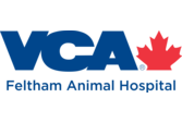 Veterinarians in Victoria Feltham Animal Hospital 
