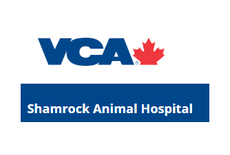 VCA Shamrock Animal Hospital 