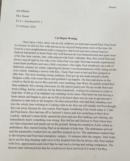 Cat Depot Writing