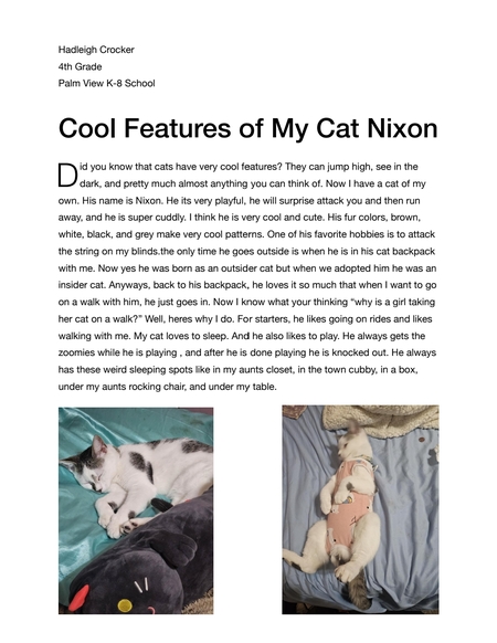 Features of my cat Nixon