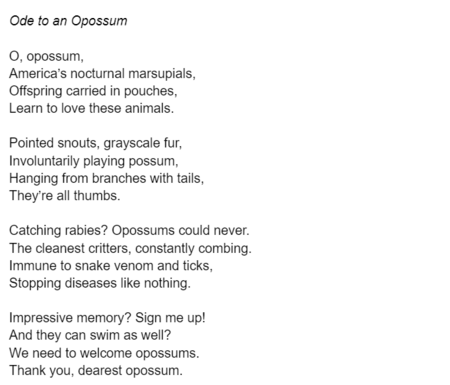 Ode to an Opossum