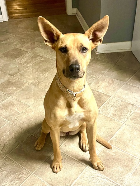 Zoey