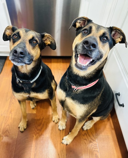 Kona & Nala