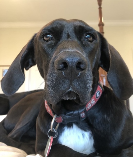 Avon Barksdale 