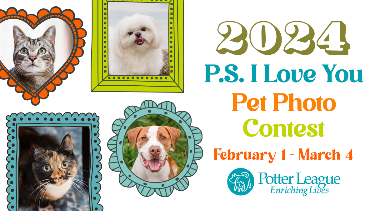 Potter League for Animals P.S. I Love You Pet Calendar Photo Contest