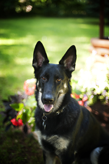 Bronson