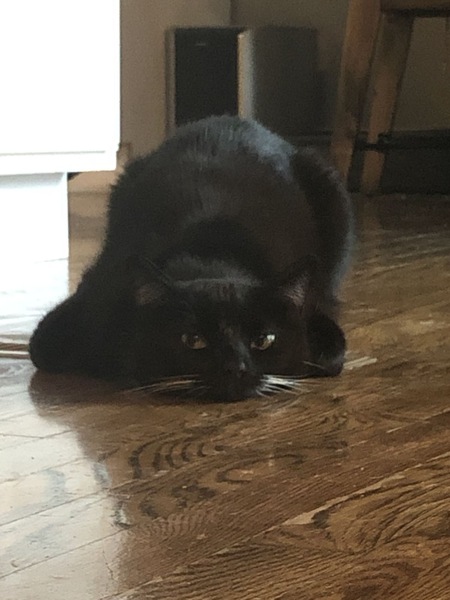 Tobey 