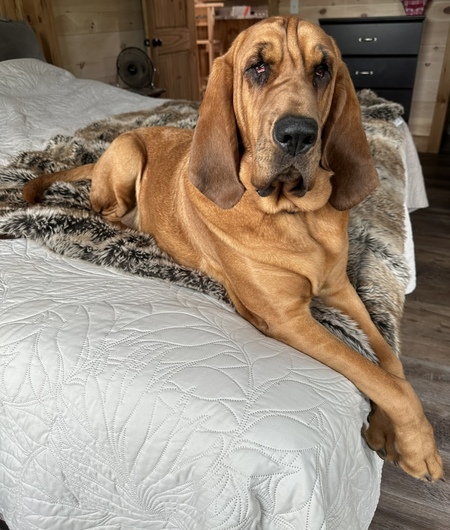 Ellie Mae