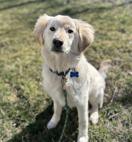 Mack