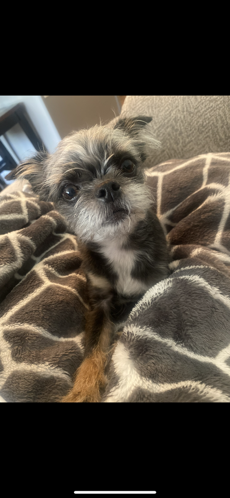 Emmy-Lou