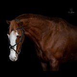 Entry image for Finnegan