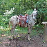 Entry image for Jadzia