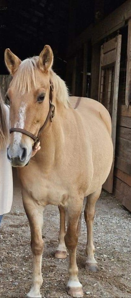 Entry image for Lou. Clicking this image will show a larger photo