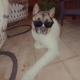 Entry image for Daki