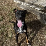 Entry image for Soap