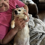 Entry image for Bubbles