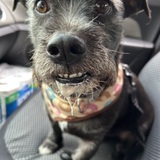 Entry image for Bruno Mars