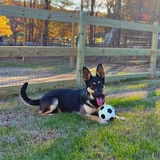 Entry image for Tessa