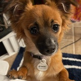 Entry image for Nina