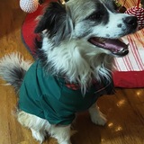 Entry image for Journey 