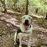 Entry image for Murphy