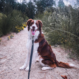 Entry image for Hero