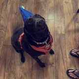 Entry image for Lucy-Mae