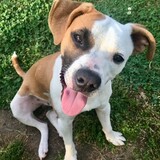 Entry image for Duckie