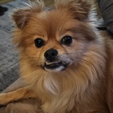 Entry image for Chase