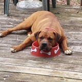 Entry image for RedMan