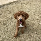 Entry image for Molly